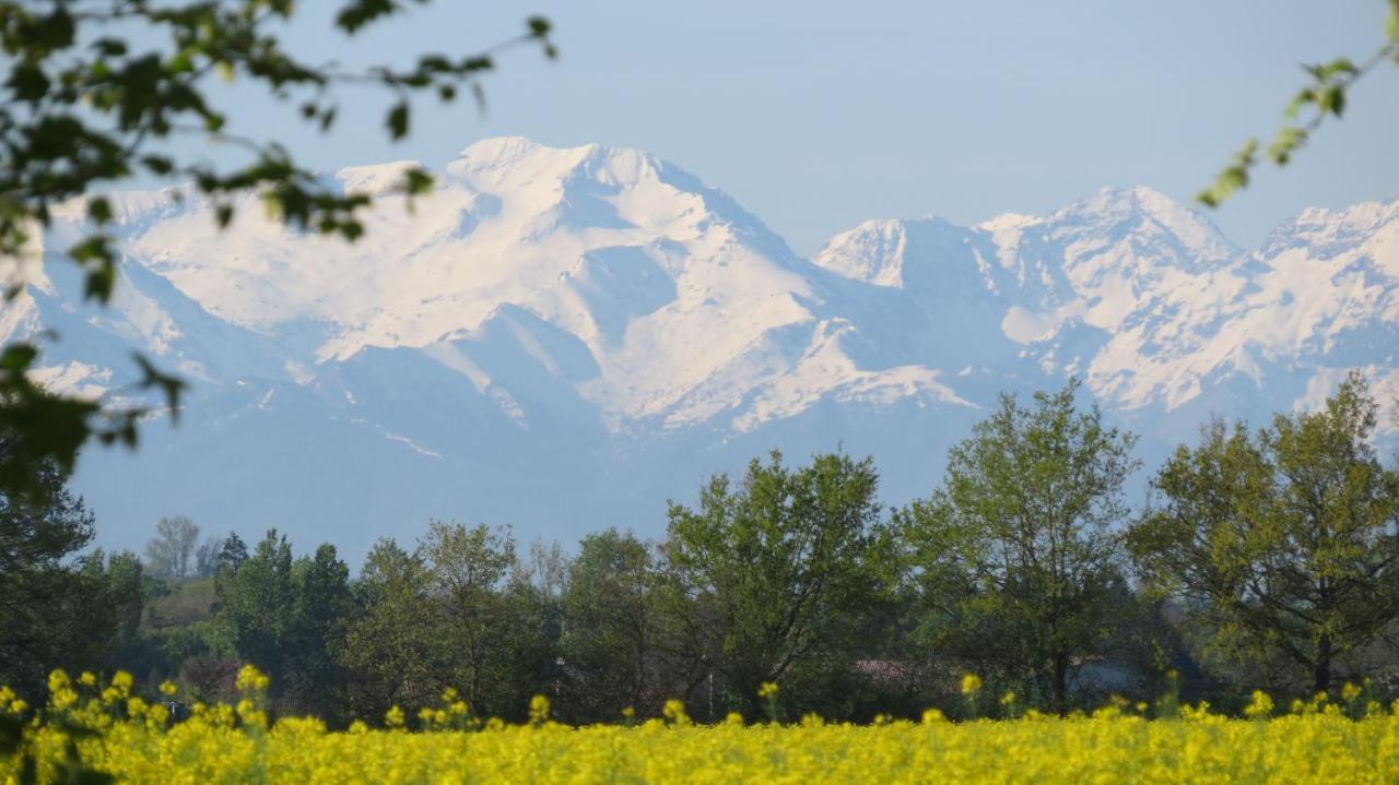 Gite La Tourasse Les Tournesols Lamasquere Dış mekan fotoğraf